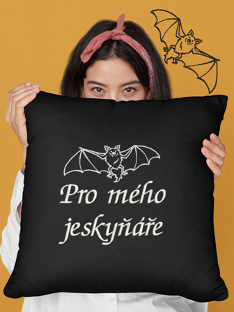 Polštář pro jeskyňáře - Netopýr 3