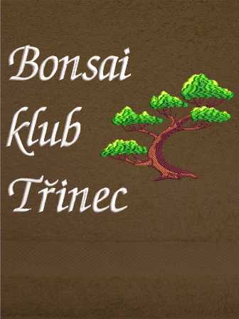 Osuška bonsai - Bonsai