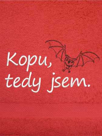 Ručník pro jeskyňaře -Netopýr 17