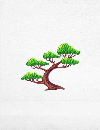 Osuška bonsai - Bonsai